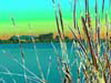 Click on the image to ENTER the gallery