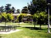 click to go to MJC